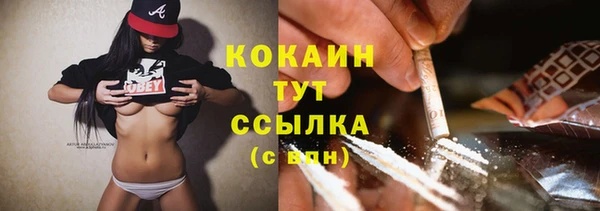 MESCALINE Аркадак