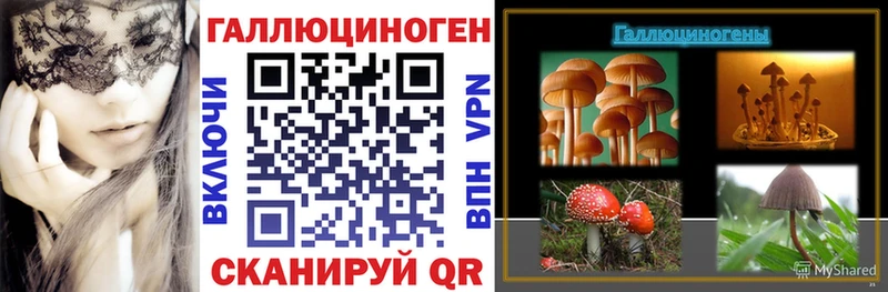 Галлюциногенные грибы Psilocybine cubensis  сколько стоит  Олонец 
