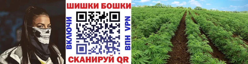 Конопля Ganja  Олонец 